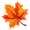 Fall Sale